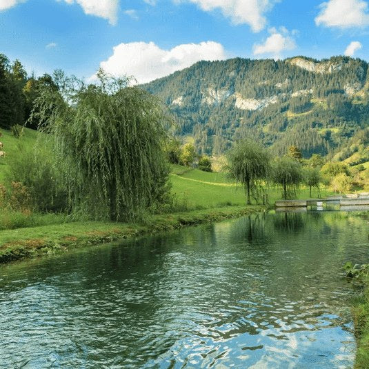 Flusslandschaft im Mariazellerland, Herkunft des Fischs für die Genusskoarl Fischsauce