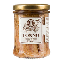 Calvi  Thunfisch in Olivenöl