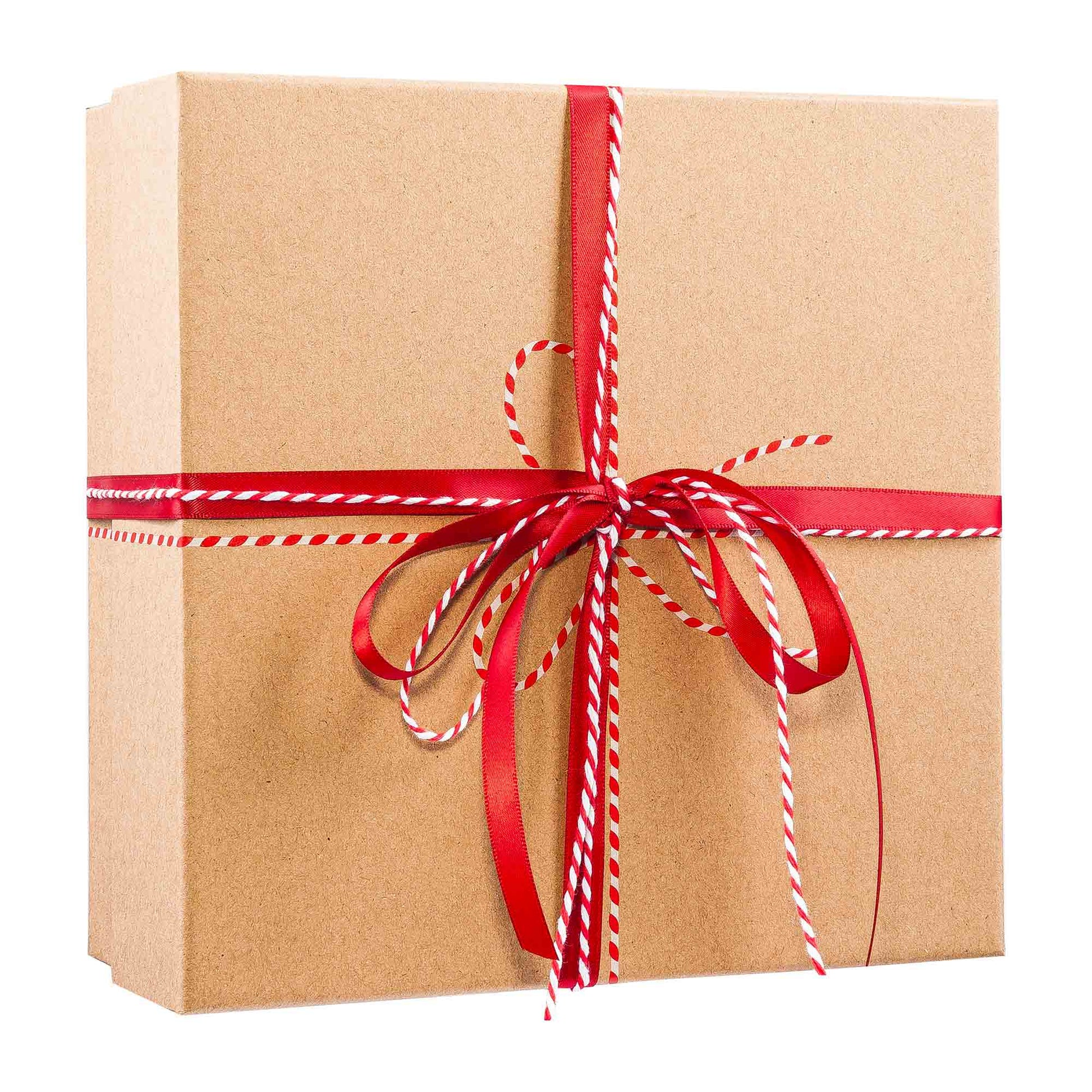 Geschenkbox groß aus Kraftpapier mit rotem Band