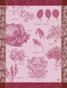Geschirrtuch  Salades Illustrées  Chicorée