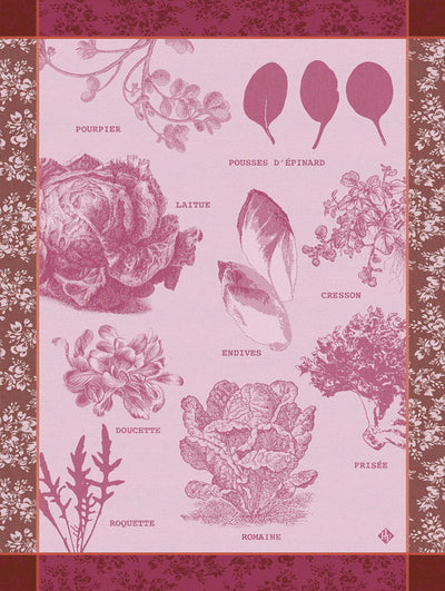 Dish towel – Salades Illustrées – Chicory