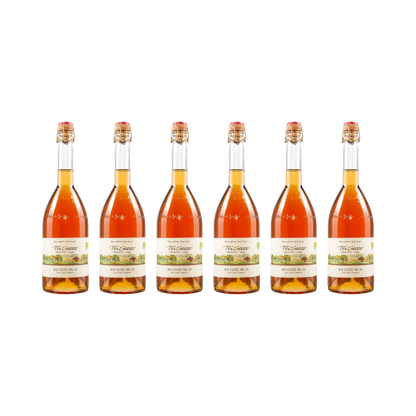 Prisecco Cuvée Nr. 29 – alkoholfrei — 6× 750 ml